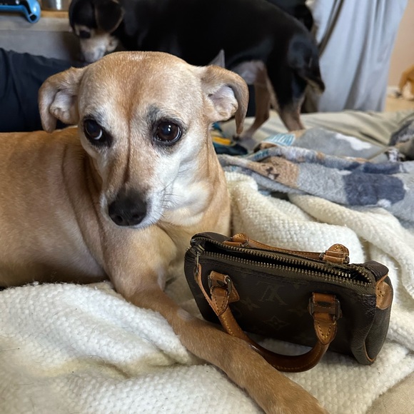 Louis Vuitton Handbags - Nano Speedy Louis Vuitton